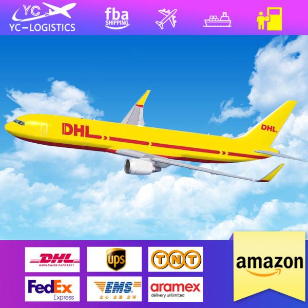 FCL LCL DHL Amazon Shipping , DDU DHL Shipping From China To USA