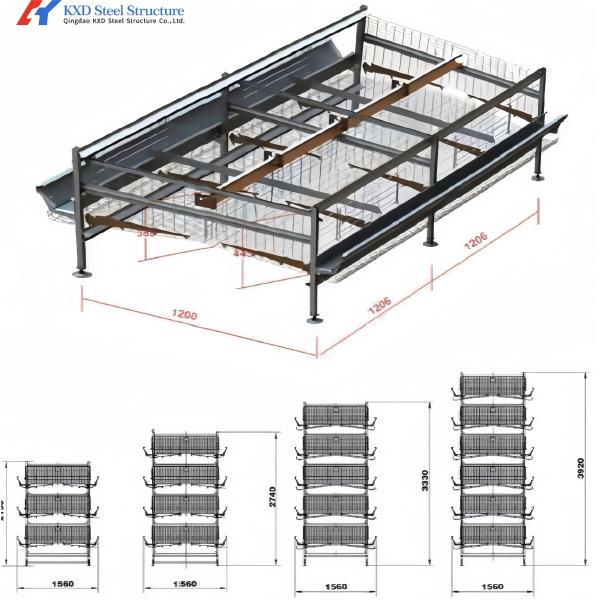 Anti Corrosion Automatic Layer Battery Chicken Cages For Africa Agricultural Poultry Farming