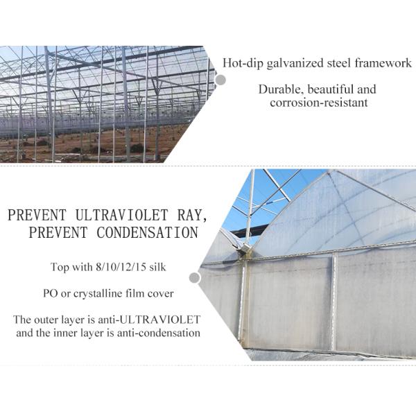 30 x 100 Vegetable Growing Film Covered Multi-span Arch Greenhouse with PO Cover