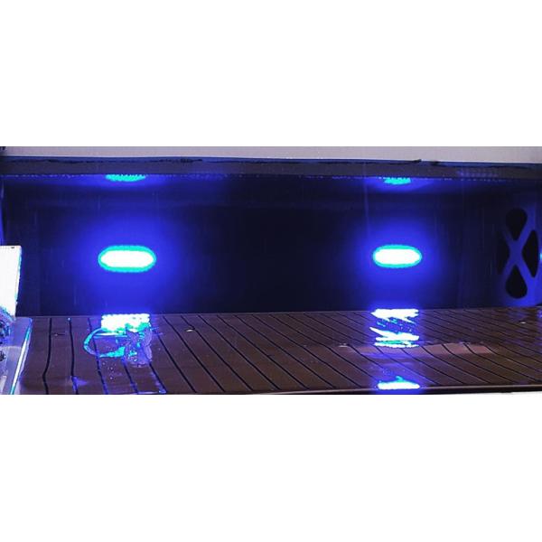 316 Stainless Steel Oval Marine Underwater LED Accent Courtesy Light Rock Light
