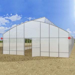 China Anti Dripping Plastic Film Greenhouse 10m Width For Tomato Planting wholesale