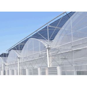 China Economical Multi Span Greenhouse / Galvanized Steel Greenhouse High Wind Resistance wholesale