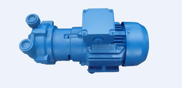 Quality 2.35 KW Water Ring Priming Pump Sets Cavitation Protection Tube SKF Bearing for sale