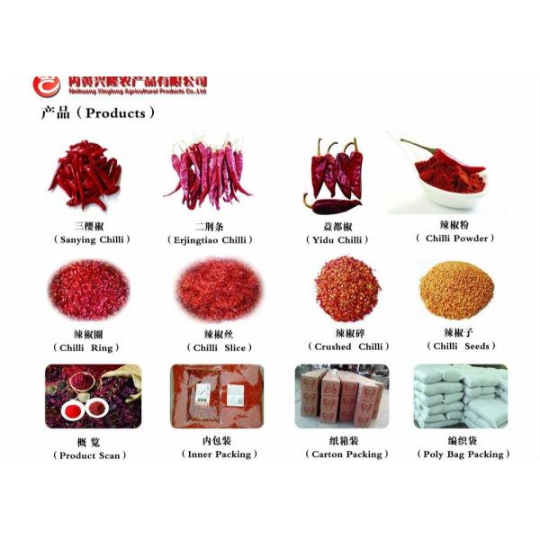 Zero Additive Tianjin Red Chilies Stick Shape Pungent Red Dried Chiles