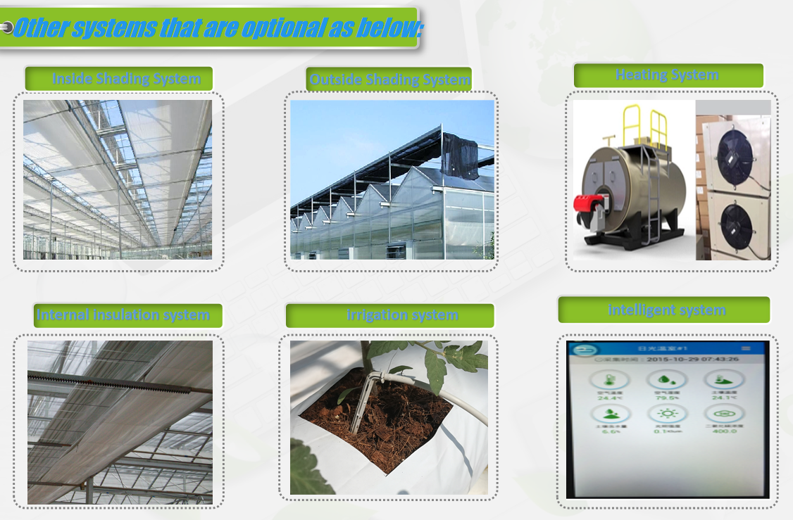 Galvanized Steel structure With Hydroponic Growing Systems Automated Intelligent Venlo stype greenhouse 2