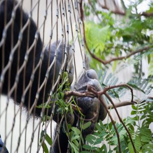 Stainless Steel Wire Rope Mesh