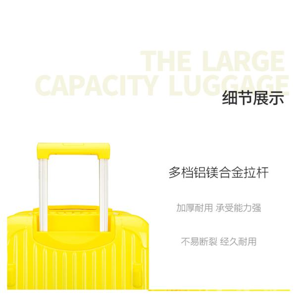 494984Thick and oversized luggage compartment