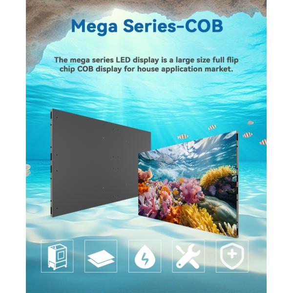 RGB COB Transparent Ultra Thin Flexible Led Screen Event Advertising Display