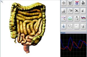 China Healing Treatment Metatron Nls 4025 Hunter Body Analyzer for Bones Inspection Equipment wholesale