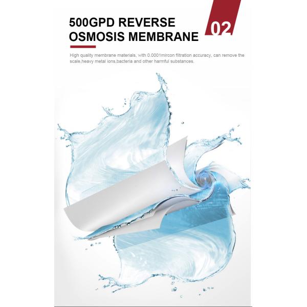 Multipurpose Reverse Osmosis Water Purifier System Ultraquiet 500GPD