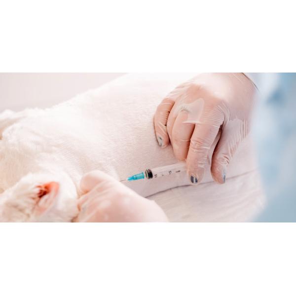 Food Grade Household Cleaning Clear Powder Free Pvc Vinyl Examination Gloves