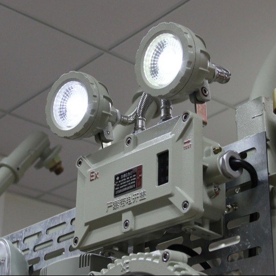 China 2x3W Explosion Proof LED Emergency Exit Light with Rechargeable Battery wholesale