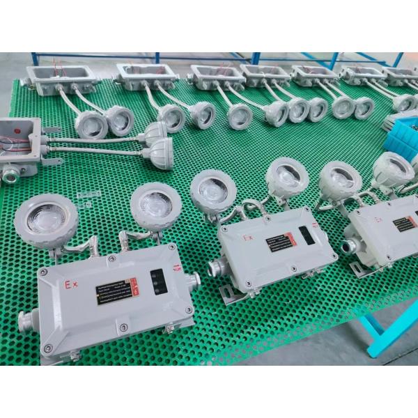 China Explosion Proof LED Emergency Light - Wall/Ceiling Mount wholesale