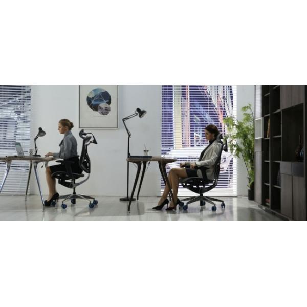 IVINO Polished Aluminum Chair Multi-function Ergonomic Mesh Back Office Chair