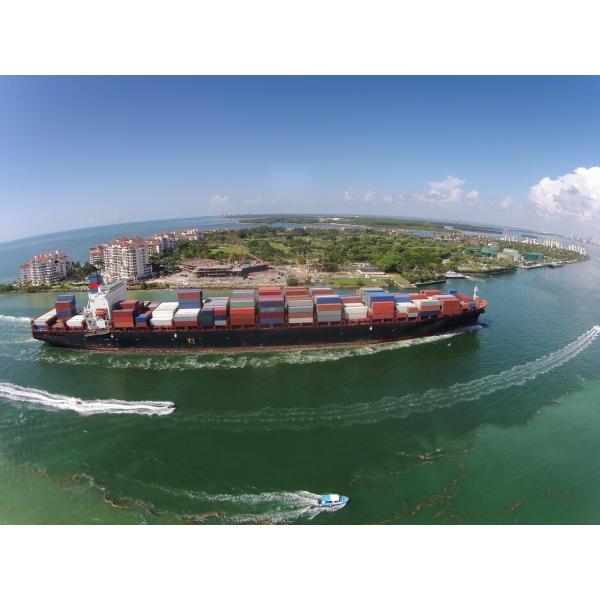 Air Lcl Fcl Sea Shipment China To Dominica International Maritime Container DDU