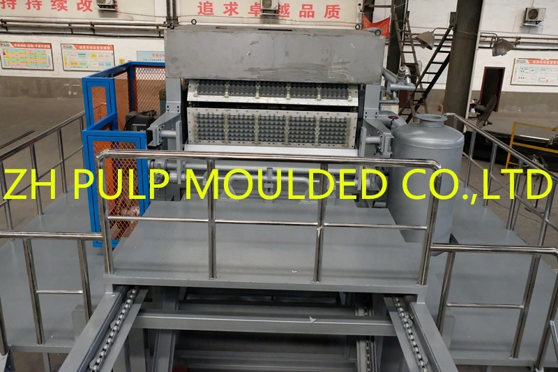 Recycling Fruit Tray Making Machine
