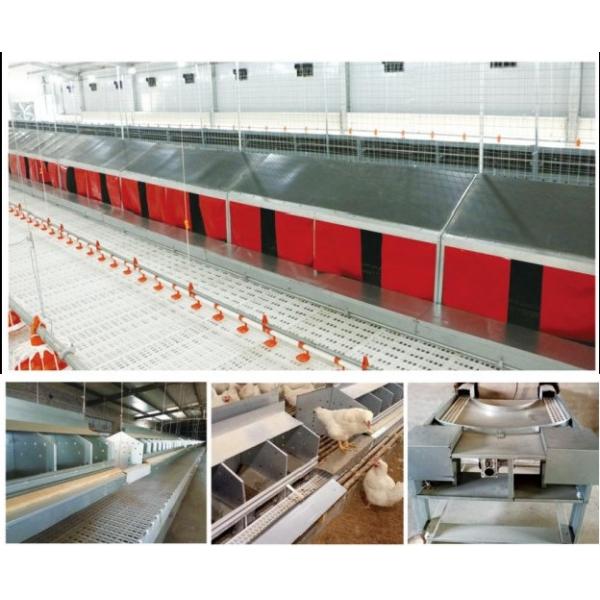 Easy Operate Poultry Farm Automatic Laying Nest PP