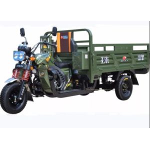 China Water Cooled Double Girder 320kg Passenger Tricycles Motorized wholesale