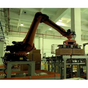 China Palletizing Operations With Robot Pallet Stacking Repeatability Combination wholesale