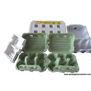 Egg Tray Drying System