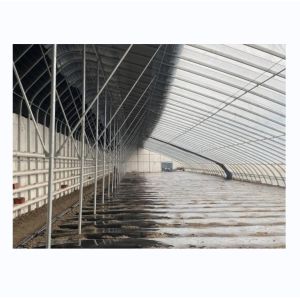 China Solar Winter Greenhouses Warm Agricultural Greenhouse with Galvanized Steel Frame wholesale