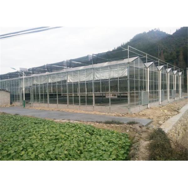 Large Size Agricultural Glass Greenhouse 3m - 6m Side Height Stable Structure