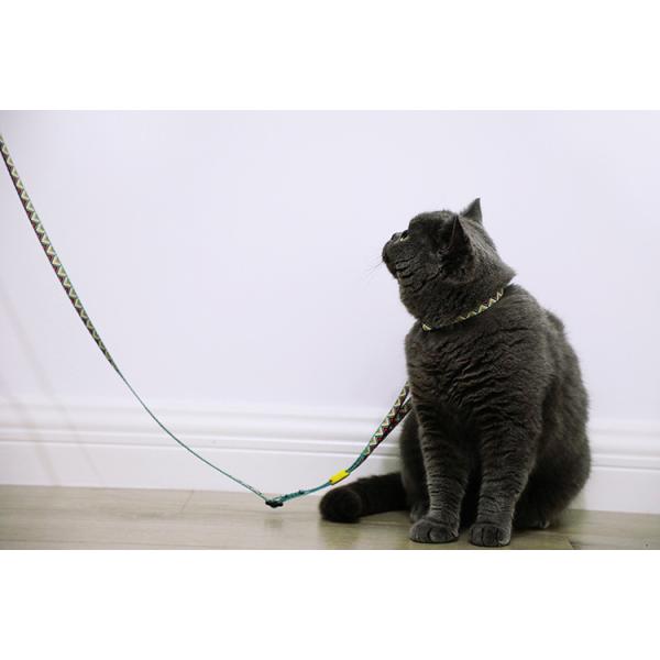 Travel Small Cat Harness And Leash Kitten Lead And Harness