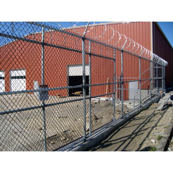 50*50MM PVC Coated Galvanized Chain Link Fence
