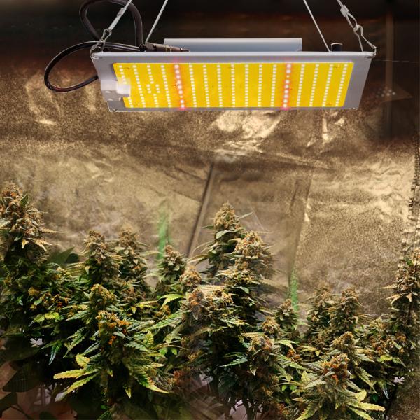 Chips LM301B LED Quantum Board Plant Grow Lights Aluminum Base PCB