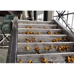 China Energy Saving Passion Fruit Processing Line Easy Operation CE Certificate wholesale