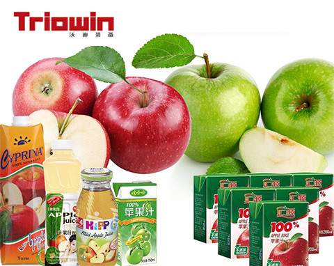 Complete Fruit And Vegetable Processing Line / Apple Processing Machine 220/380V