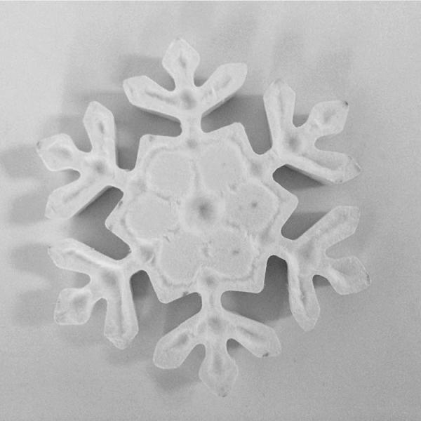 ODM Custom Pulp Molded Tray Cartons Wholesale Agriculture OEM White Artwork