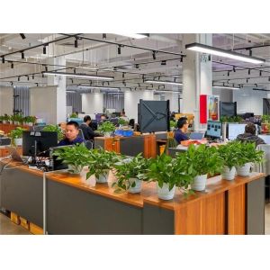 Shenzhen SMX Display Technology Co., Ltd.