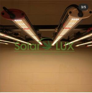 China 6bars 600W Horticulture Full Spectrum LED Grow Lights wholesale