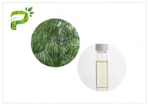 China Eucalyptus Globulus natural plant oils 8000 48 4 Colorless to light yellow liquid wholesale