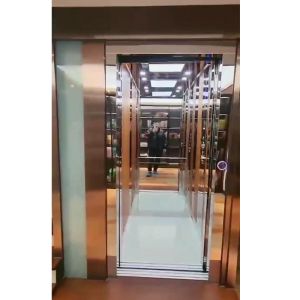 China Stainless Steel Traction Home Elevator | Smooth &amp; Quiet Ride wholesale