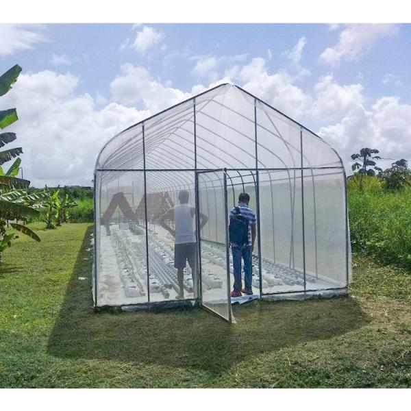 1m Zinc Coating 275gsm Wrought Iron Greenhouse For Duck Or Chicken