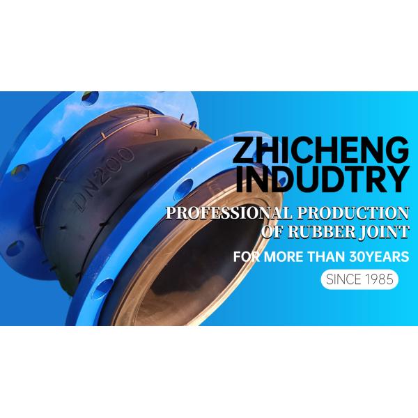 Rubber Expansion Joint For Water Pump, DN100 Eccentric Reducing Rubber Expansion Joint