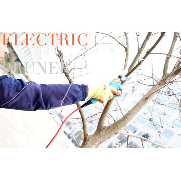 Swansoft 800g 3.0CM Electric Bypass Pruner Fruit Orchard Pruning Shear 36V 4AH