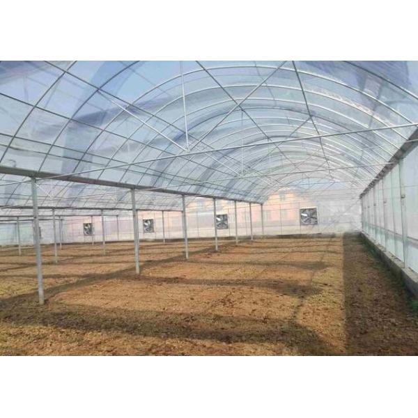 Cucumber Greenhouse Hydroponic Systems Galvanized Frame Thin Film Structure