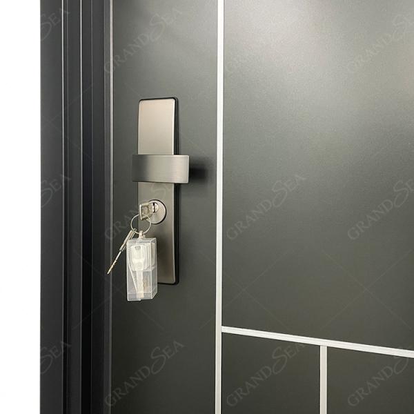 Modern Style High Quality Cast Steel Easy Pattern Power Coated Surface Swing Door for Villa
