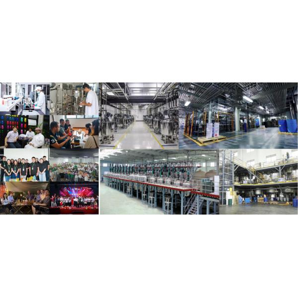 1K Blue phase Special Black Paint High Solid System Auto Refinish Paint for Car Repair