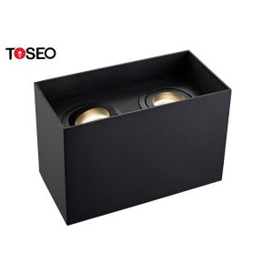 China Adjustable Square Double Head Downlight , Surface Mounted LED Light Fittings wholesale