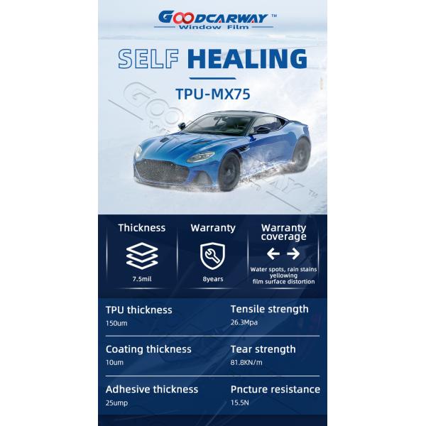 Glossy PPF 7.5mil Wet Application Hydrophobicity Self Healing PPF 8 Years Warranty