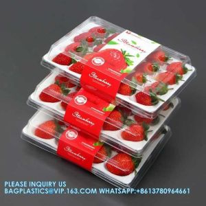 Wholesale Transparent Fresh Strawberry Packaging Container Supermarket Food
