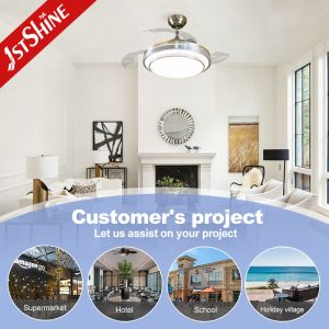 220 Volt Dimmable Retractable Ceiling Fan Light Remote Control