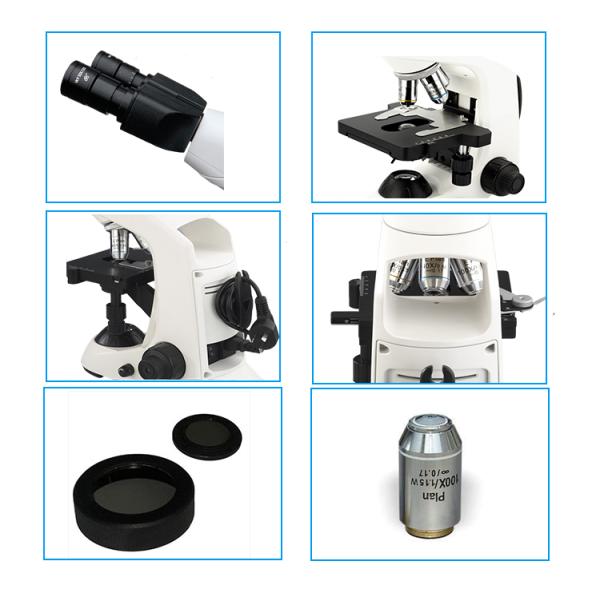 Infinity Optical Trinocular Compound Microscope / Professional Grade Microscope