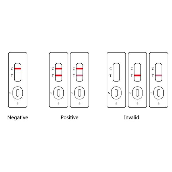 Fast Speed Covid-19 / 2019-NCoV Antigen Rapid Test Cassette Lateral Flow Method 15 Mins