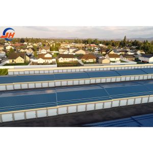 China Malaysia Commercial Function Building Prefabricated Steel Structure Shed Manufacture wholesale