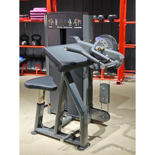 Commercial Gym Equipment Pin Loaded Training Seated Bicep&triceps Dual Function Fitness Equipment